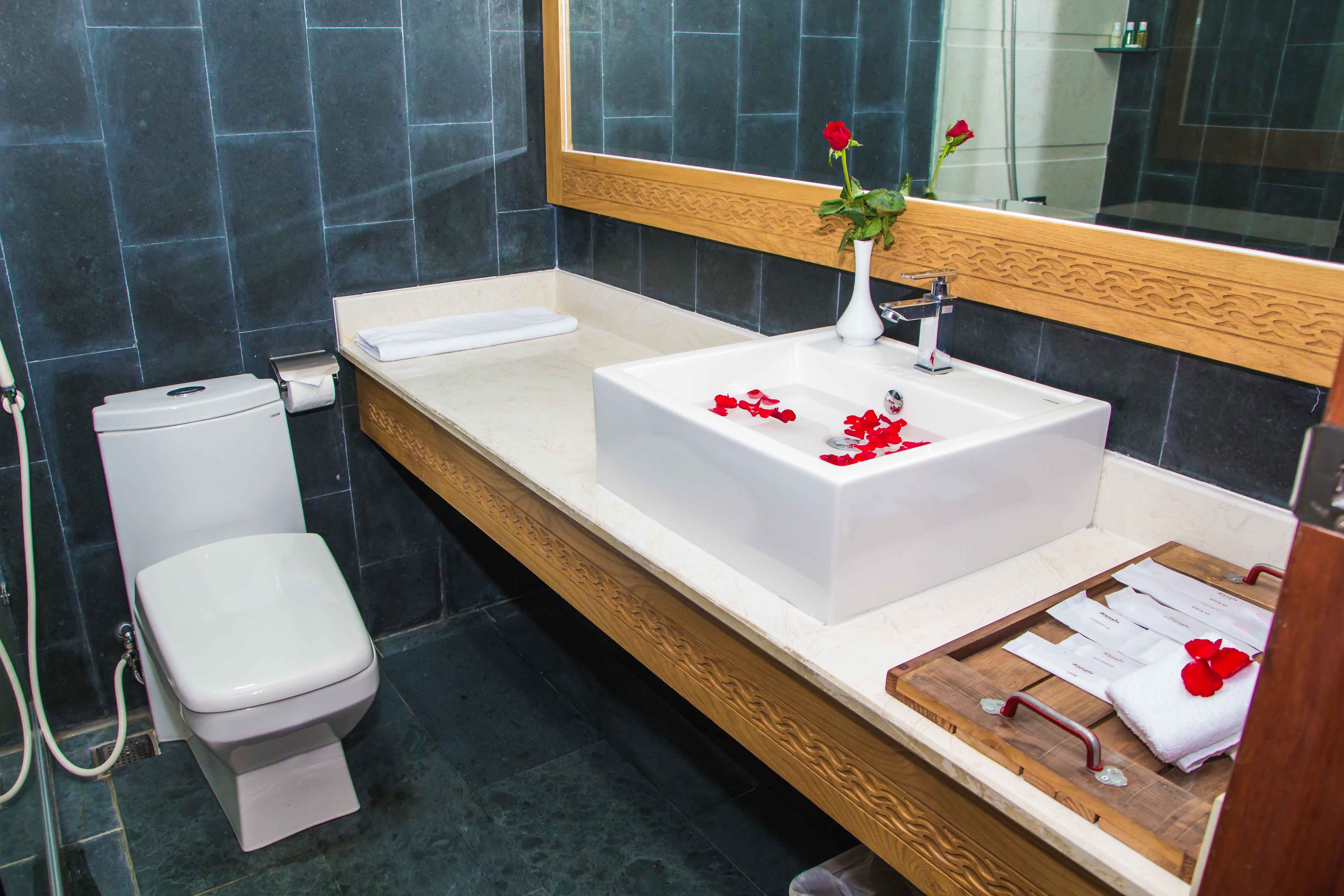 Deluxe Sea View - other image 3